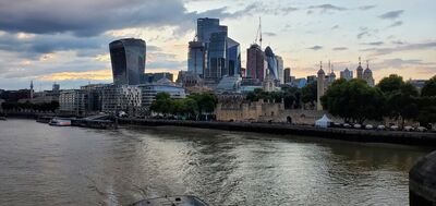 20220731_203127.jpg