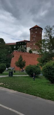 20220807_132631.jpg