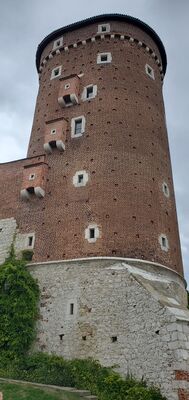 20220807_133336.jpg