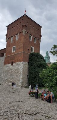 20220807_133743.jpg