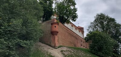 20220807_144255.jpg