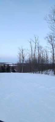 20230204_173827.jpg