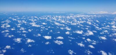 20230508_145838.jpg