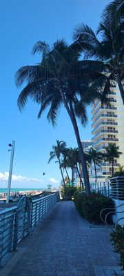 20230508_164453.jpg