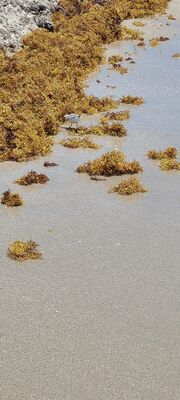 20230509_121802.jpg