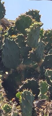 20230510_132219.jpg