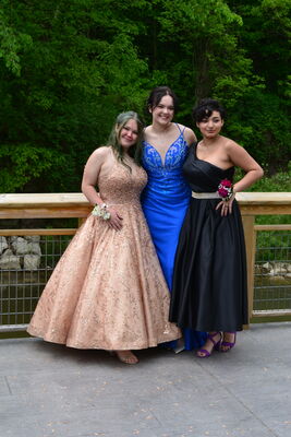 DSC_0501.JPG
