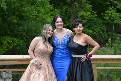 DSC_0502.JPG