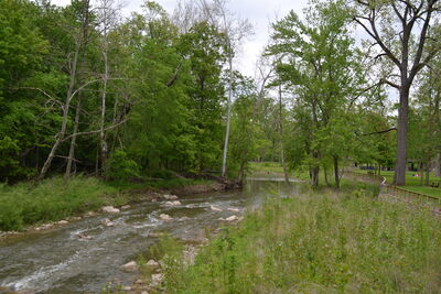 DSC_0510.JPG