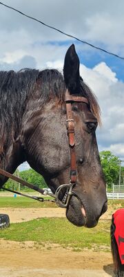 20230624_171322.jpg