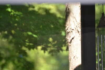 DSC_0083.JPG