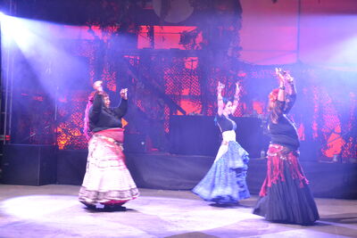 DSC_0214.JPG