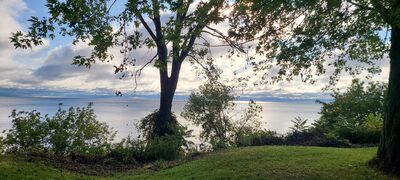 20231007_090451.jpg