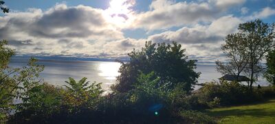 20231007_090547.jpg