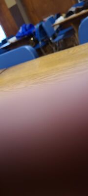 20231007_162418.jpg