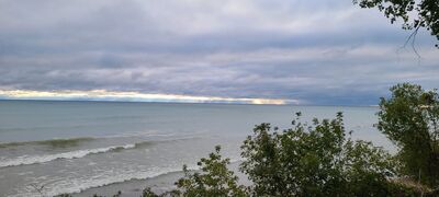 20231008_084646.jpg