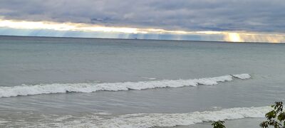 20231008_084658.jpg