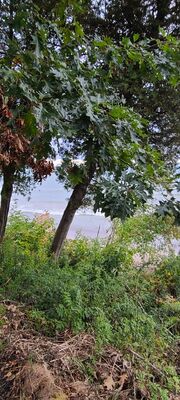 20231008_084716.jpg