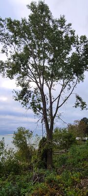 20231008_084728.jpg