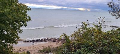 20231008_085105.jpg