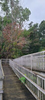20231008_085311.jpg