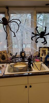 20231105_134512.jpg