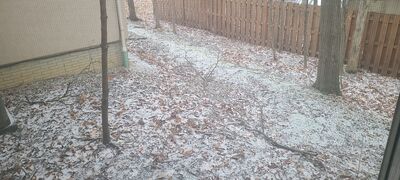 20240113_111527.jpg