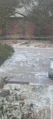 20240113_111605.jpg