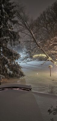 20240119_200828.jpg