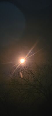 20240408_141145.jpg