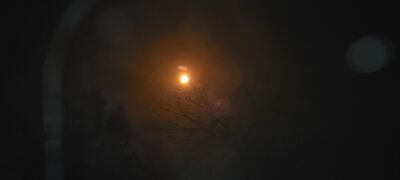 20240408_141221.jpg