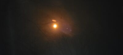 20240408_141520.jpg