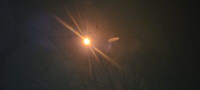 20240408_141549.jpg