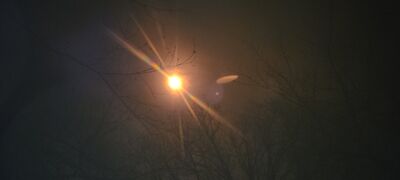 20240408_141637.jpg
