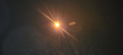 20240408_141703.jpg