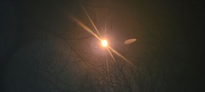 20240408_142126.jpg