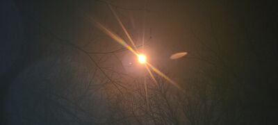 20240408_142155.jpg