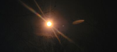20240408_142620.jpg