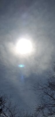 20240408_143147.jpg