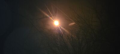 20240408_143311.jpg