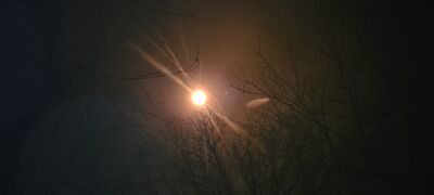 20240408_143502.jpg
