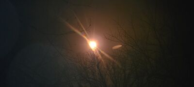 20240408_143850.jpg