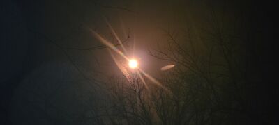20240408_143921.jpg
