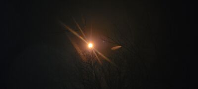 20240408_143945.jpg