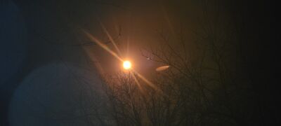20240408_144011.jpg