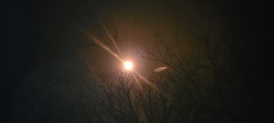 20240408_144516.jpg