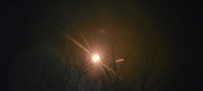 20240408_144541.jpg