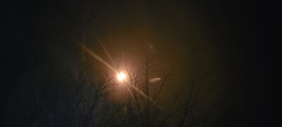 20240408_144546.jpg