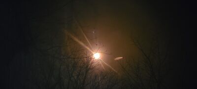20240408_144557.jpg