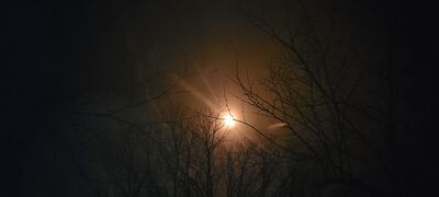 20240408_144606.jpg